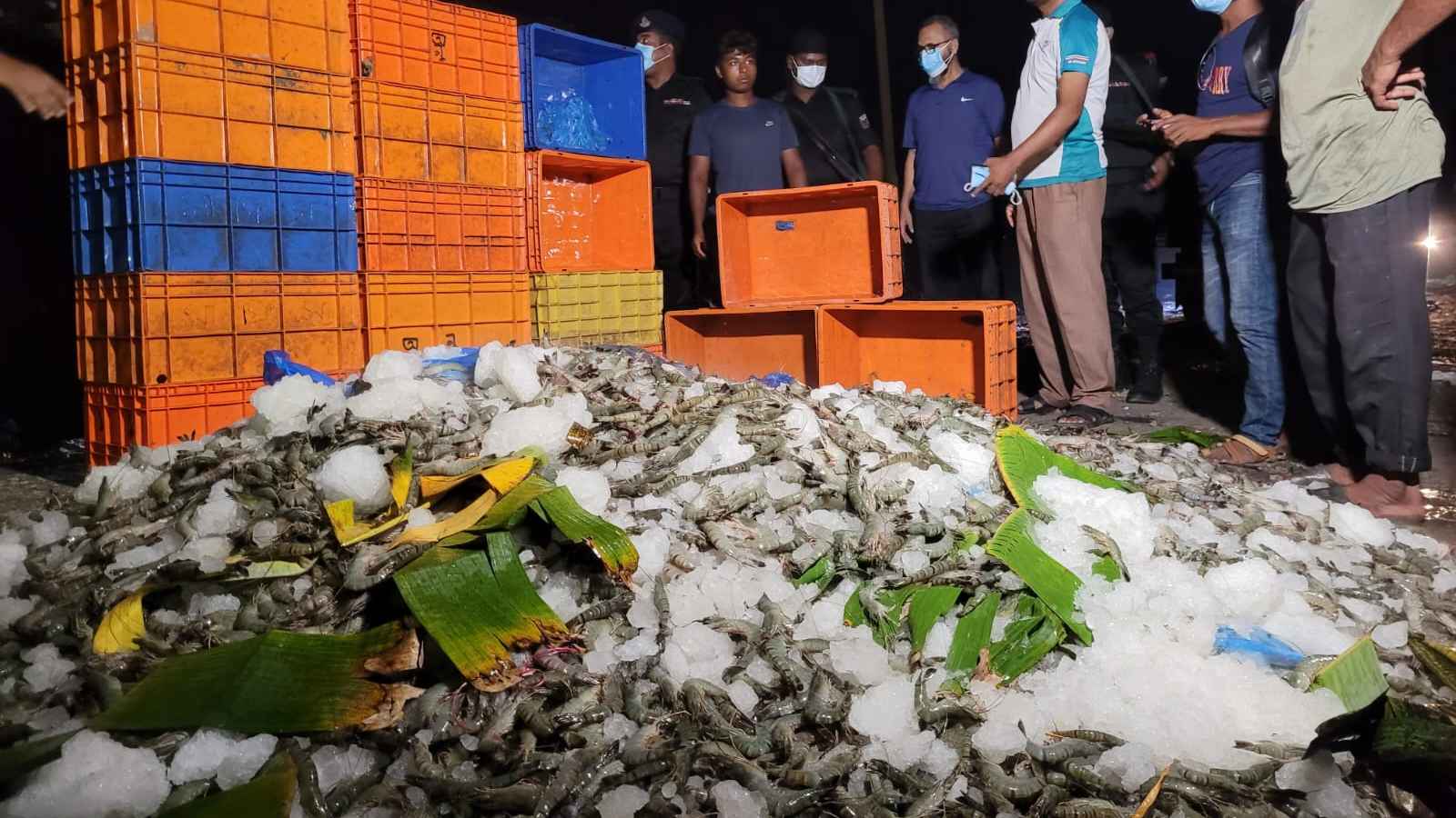 যশোরে জেলি পুশকৃত ২৬০ কেজি বাগদা চিংড়ি জব্দ