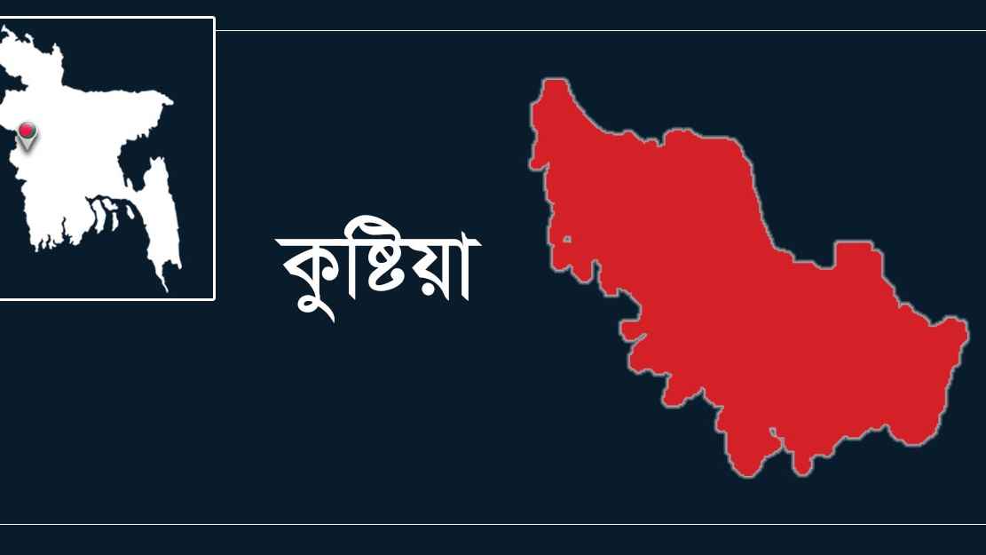 কু‌ষ্টিয়ায় পরকীয়ার জেরে যুবক খুন,আটক ৩