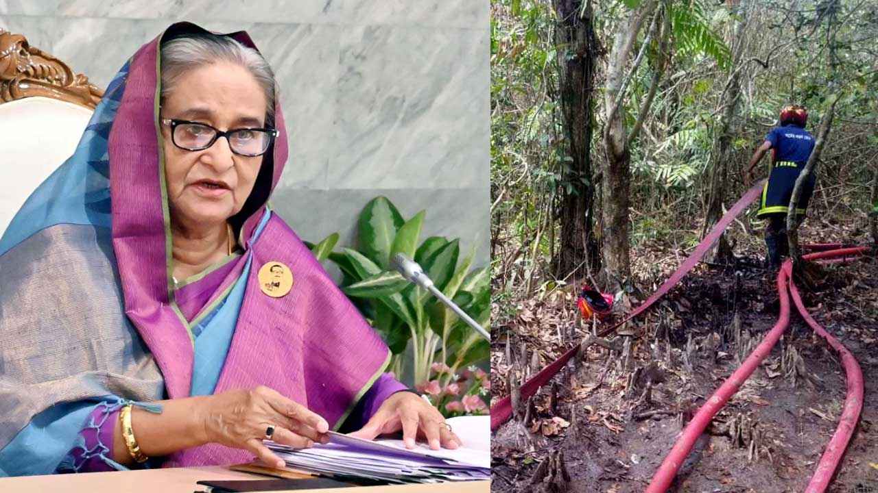 সুন্দরবনে আগুন লাগার কারণ গভীরভাবে খতিয়ে দেখার নির্দেশ প্রধানমন্ত্রীর