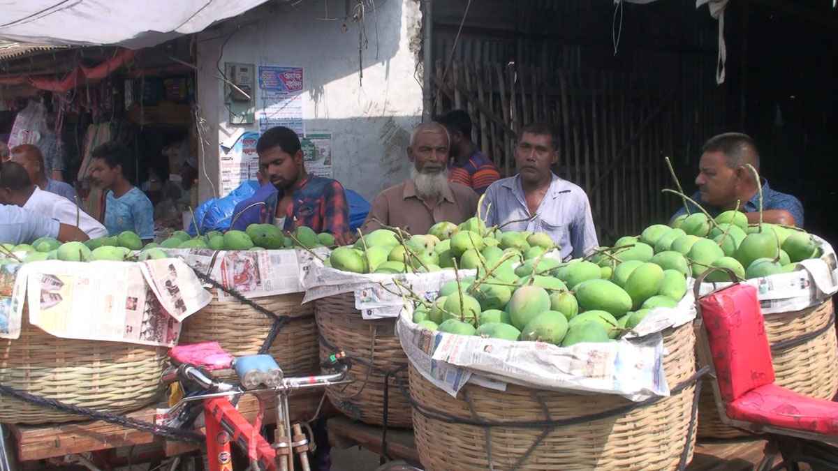 জ্যৈষ্ঠর আগেই আমে সয়লাব সাতক্ষীরার বাজার, দাম দ্বিগুণ