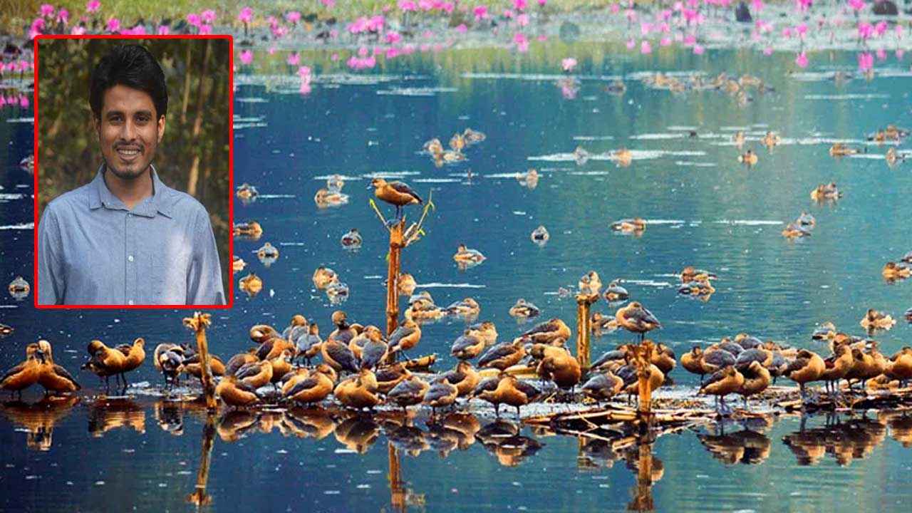 পাখির কলতান প্রকৃতির প্রাণ