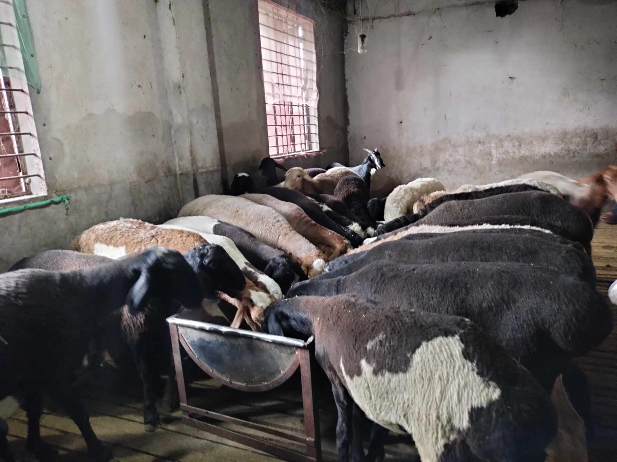 abf90726-fd06-48d3-b25f-fe41a085f6af abf90726-fd06-48d3-b25f-fe41a085f6af