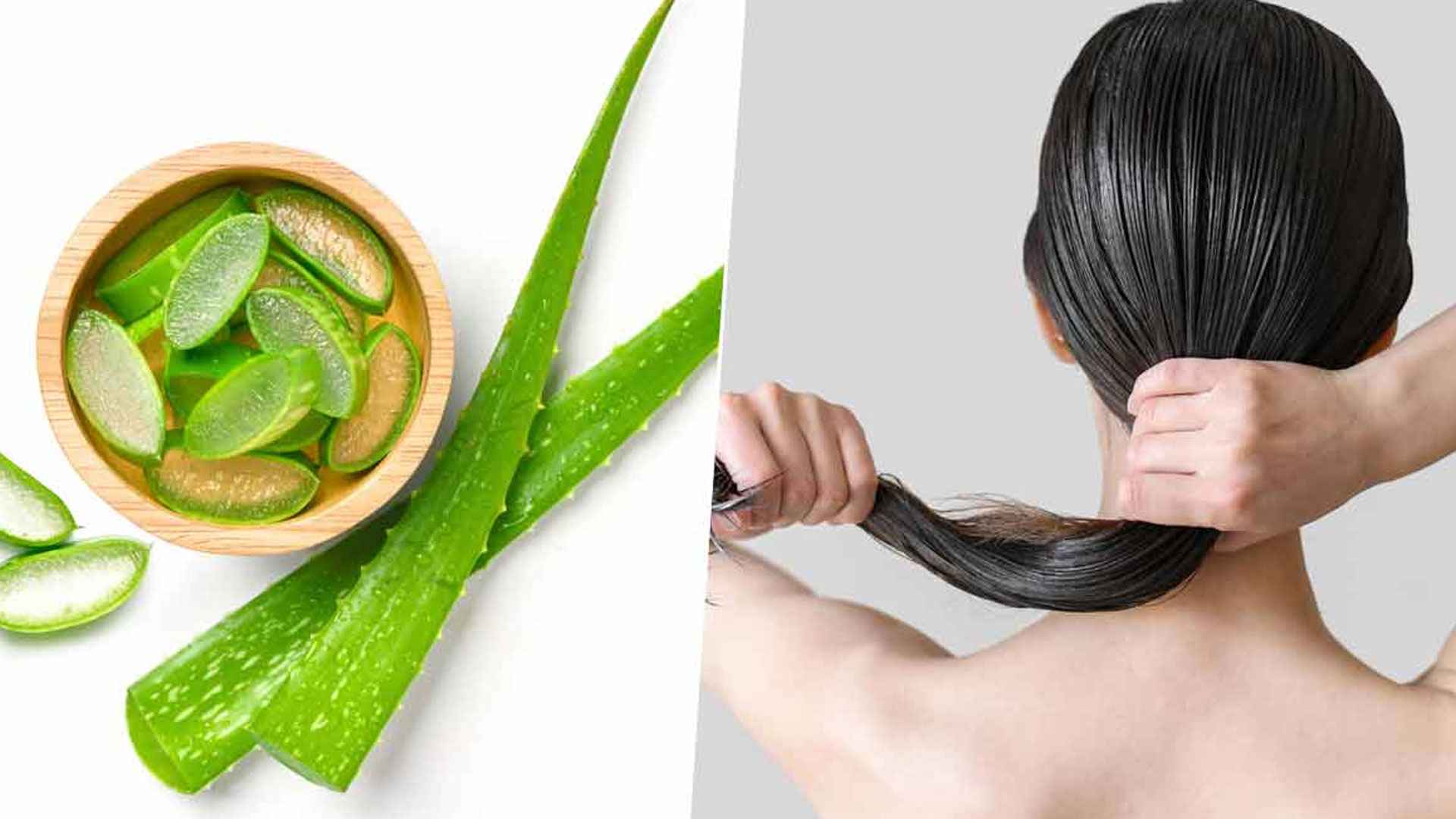 গরমে চুলের রুক্ষতা, দূর করুন এসব প্যাকে