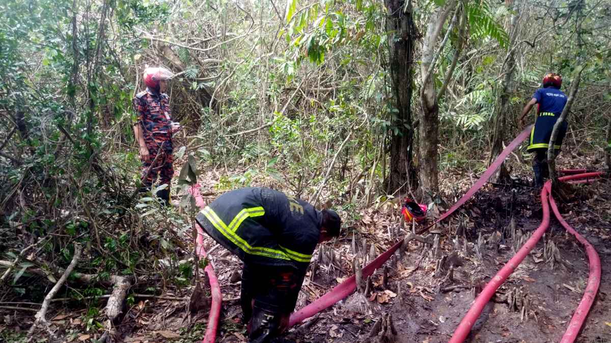 সুন্দরবনের আগুন নিয়ন্ত্রণে: ফায়ার সার্ভিস