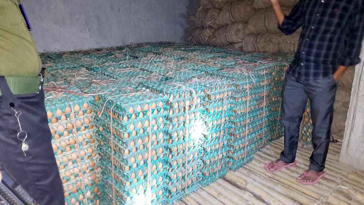 অবৈধভাবে লক্ষাধিক ডিম মজুদ রাখায় জরিমানা