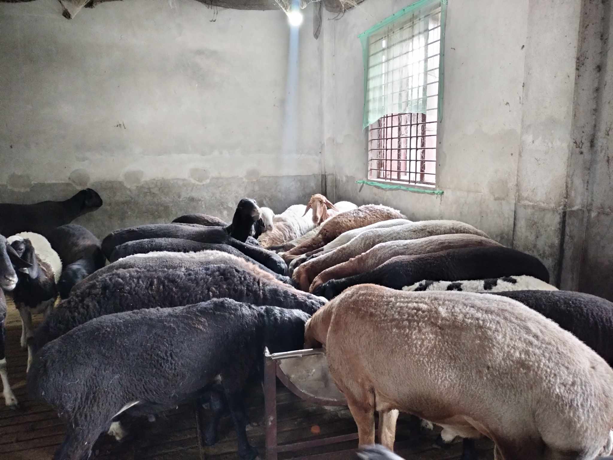 e86aa84c-8f52-4e74-a9cf-dd7058045eda e86aa84c-8f52-4e74-a9cf-dd7058045eda