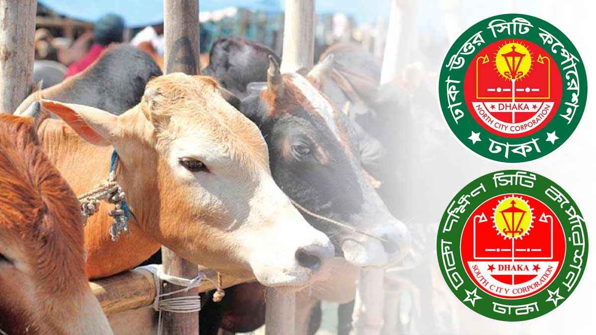 ঢাকায় কোরবানি পশুর হাট বসবে কোথায়, কোন সিটিতে কয়টি?