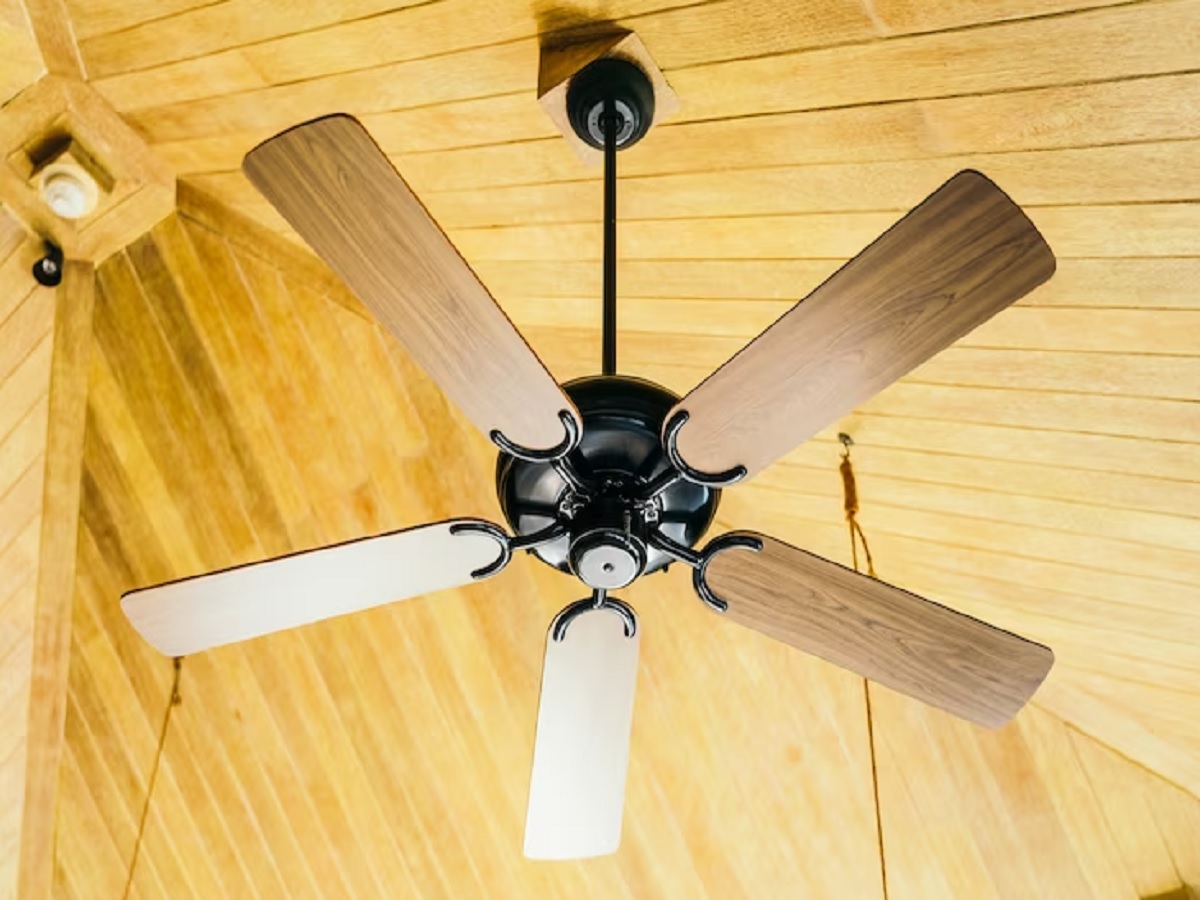 fan2 fan2