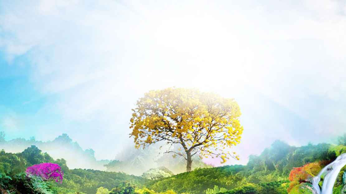 জান্নাতের শরাব কেমন হবে