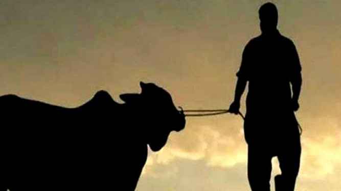 কাজের লোককে কোরবানির গোশত দেওয়ার বিধান