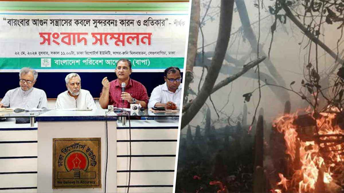 সুন্দরবন রক্ষায় ১৫ সুপারিশ বাপার