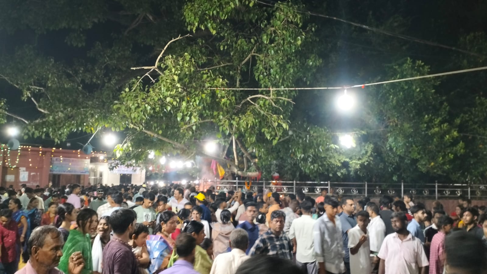 IMG-20241101-WA0005 IMG-20241101-WA0005