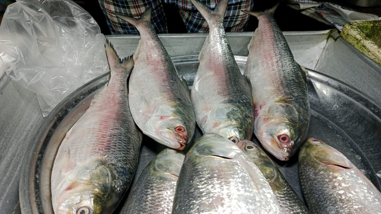 IMG-20241109-WA0017