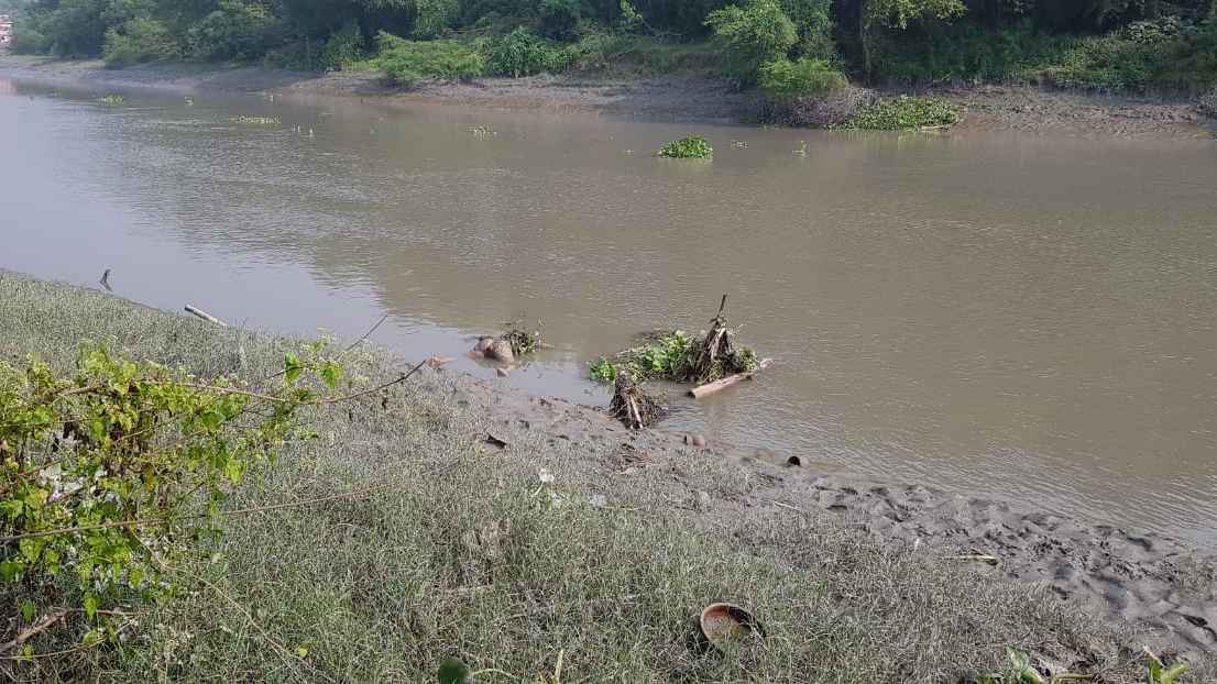 কপোতাক্ষ নদীতে ভাসছিল বৃদ্ধার লাশ