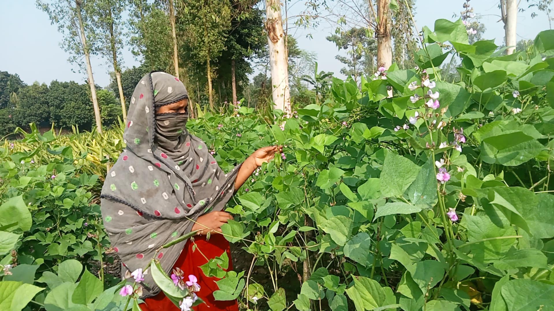 Messenger_creation_37047A70-FA62-415A-9947-CB464A1DB7A0 Messenger_creation_37047A70-FA62-415A-9947-CB464A1DB7A0