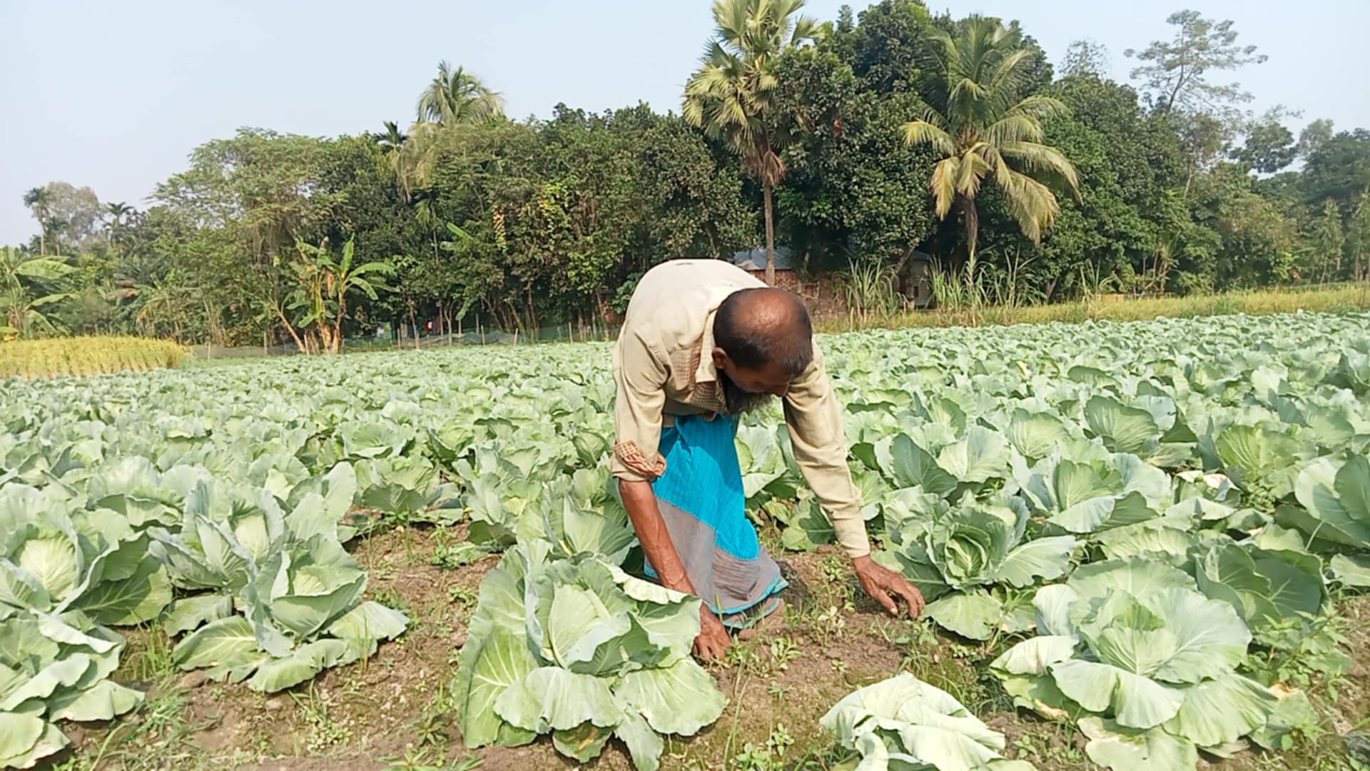 Messenger_creation_658E3A8C-2F84-4CA8-9C71-A07169CA69FF Messenger_creation_658E3A8C-2F84-4CA8-9C71-A07169CA69FF