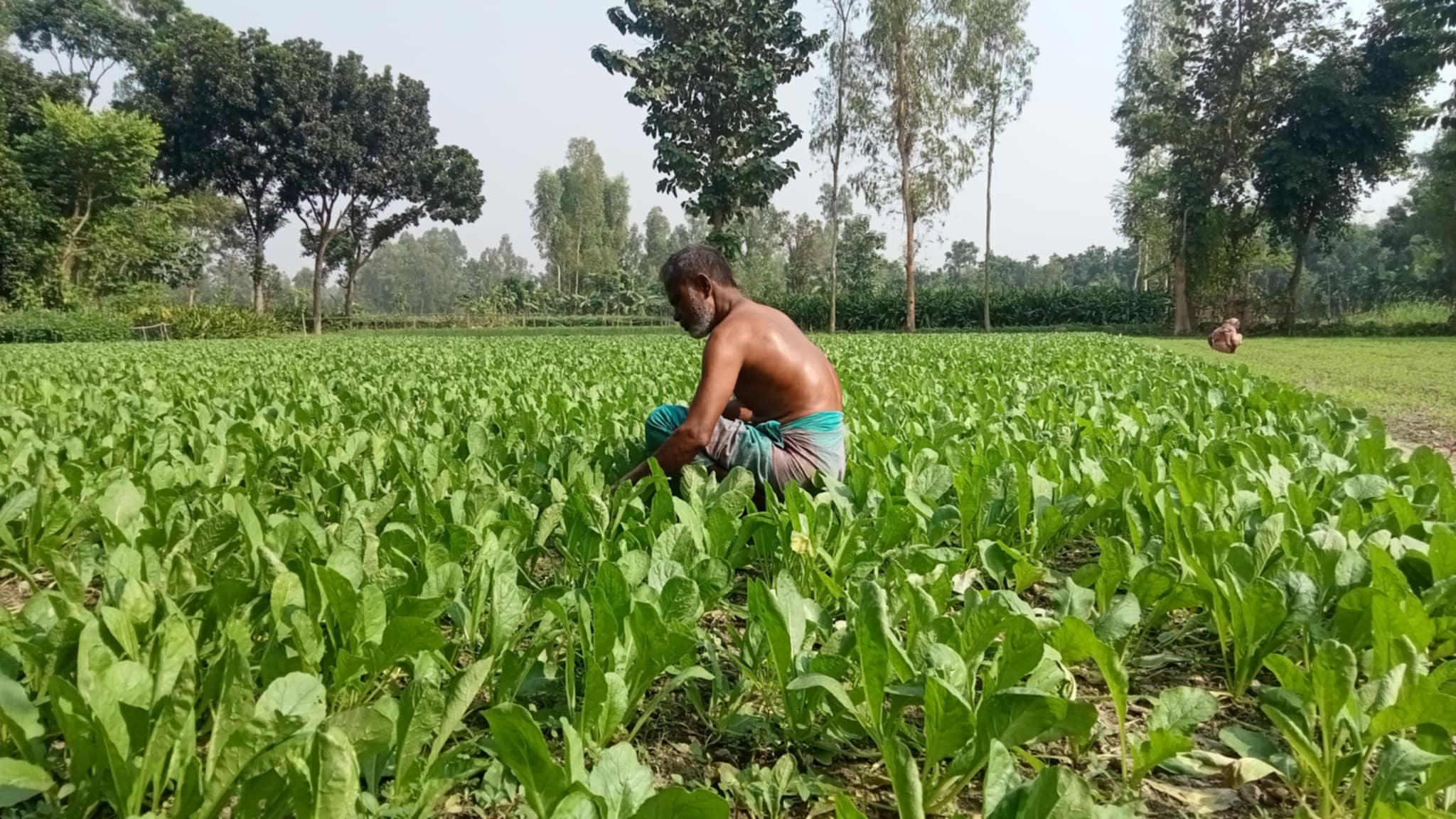 Messenger_creation_91ACA5CC-43E6-438C-9B1A-95A4AE9EE8D5 Messenger_creation_91ACA5CC-43E6-438C-9B1A-95A4AE9EE8D5