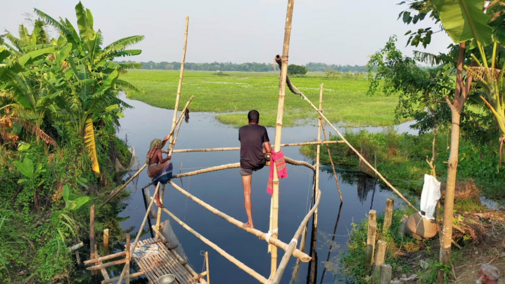 পানি নিষ্কাশন ব্যবস্থা না থাকায় ফসল উৎপাদনে ক্ষতি ২০ কোটি