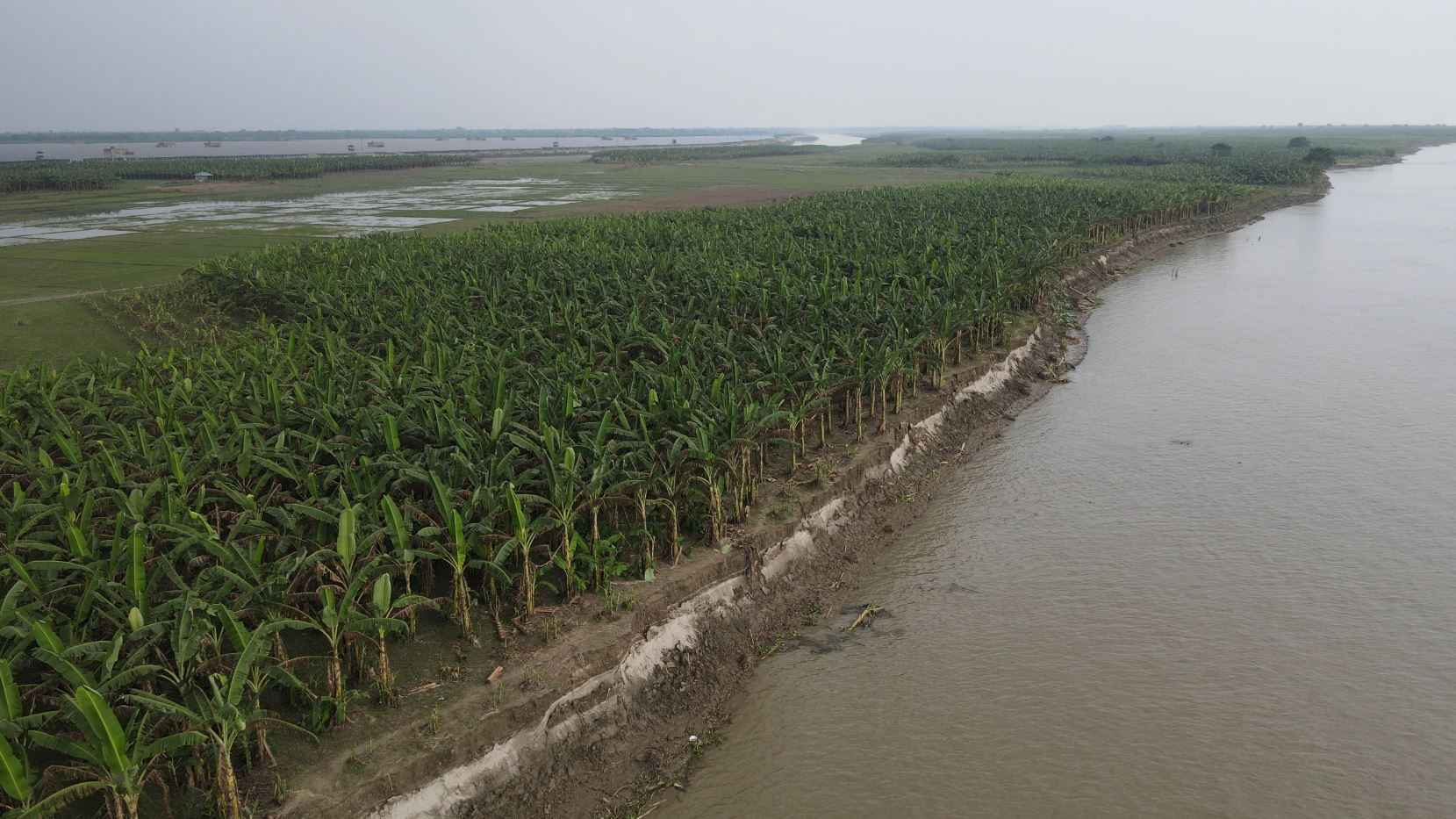 নদী ভাঙনের মধ্যেই পাবনার পদ্মায় আবারও বালু উত্তোলনের মহাকর্মযজ্ঞ