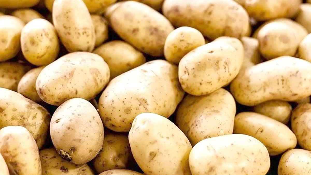 চালের চেয়ে আলুর দাম বেশি