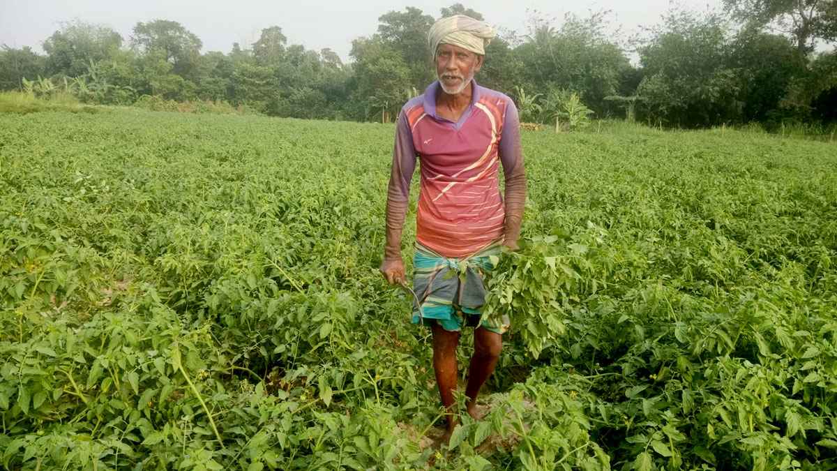 ‘বিচ্ছিন্ন চরে’ বাম্পার ফলন, চাঙা অর্থনীতি