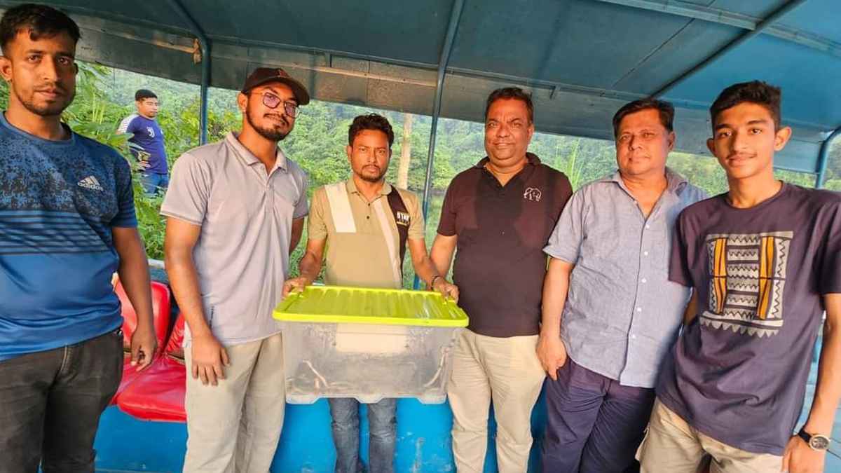 মিরসরাইয়ে ৬০টি পদ্মগোখরা সাপ উদ্ধার, বনে অবমুক্ত