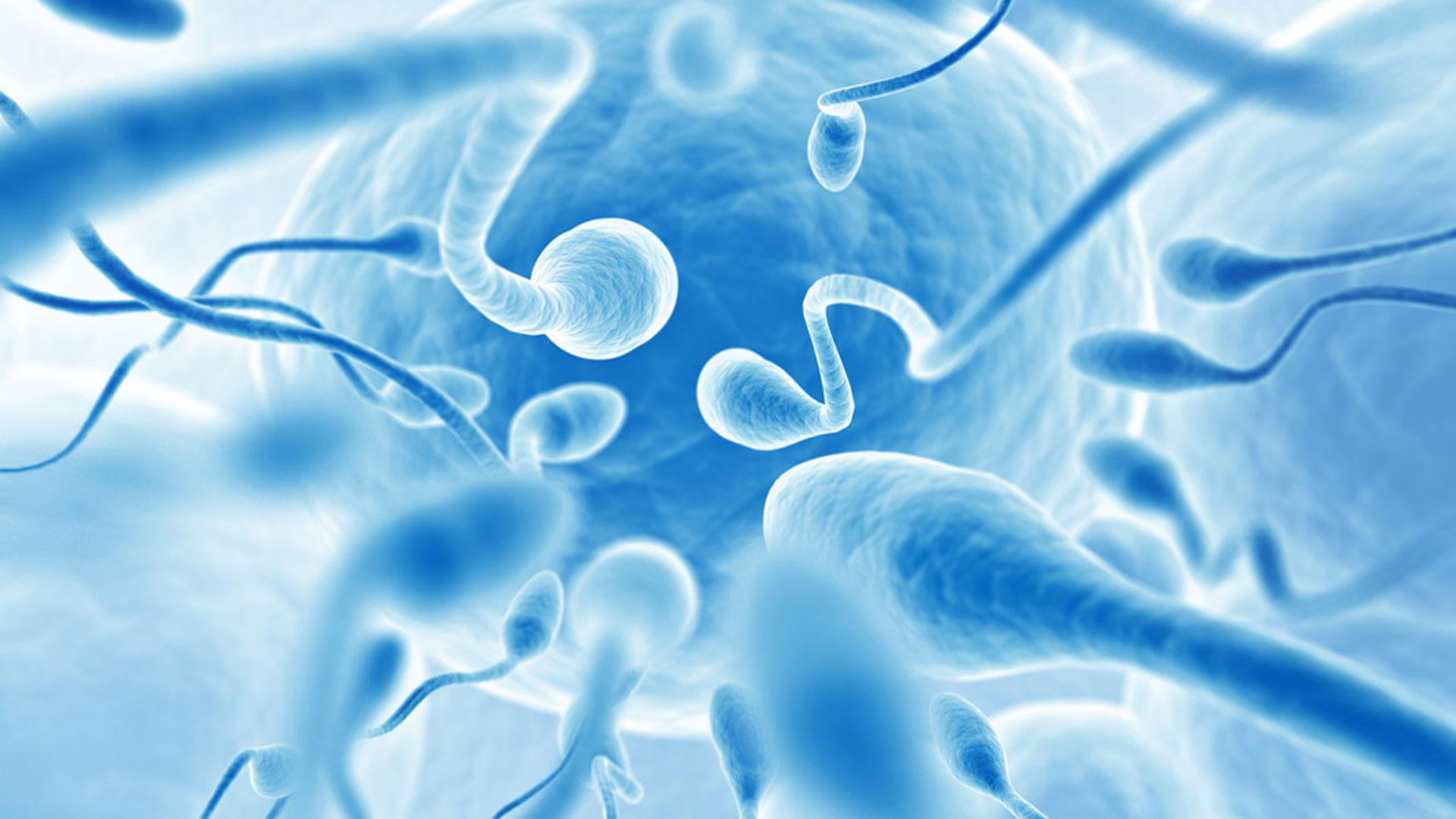 fertility1 fertility1