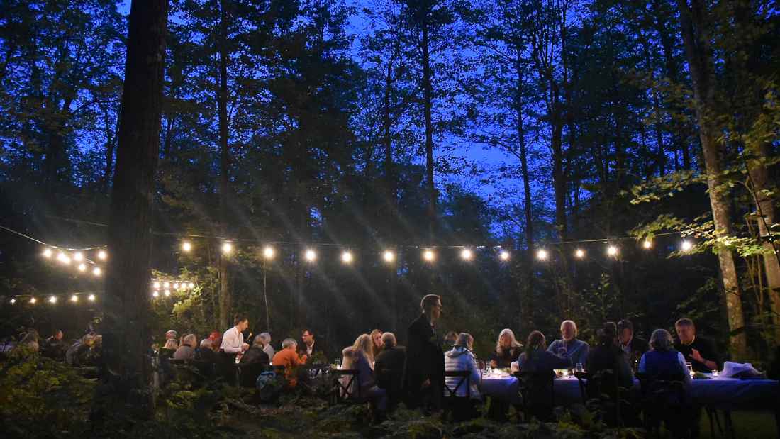 রাতে গাছপালা থেকে কেন দূরে থাকতে বলা হয়? কারণ জানলে অবাক হবেন