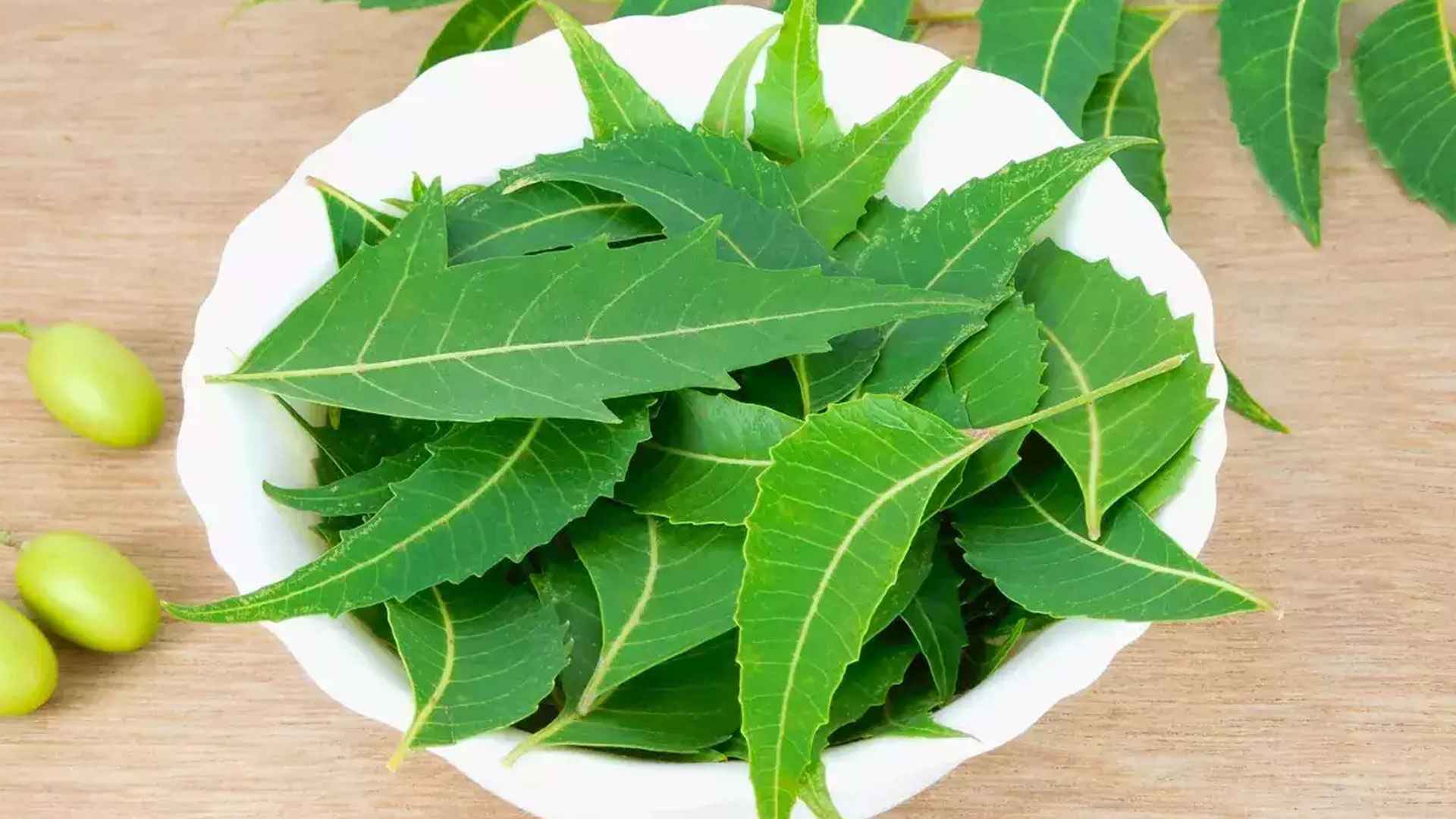 ত্বকের সব সমাধানে নিম পাতা খেতে হবে এই নিয়মে