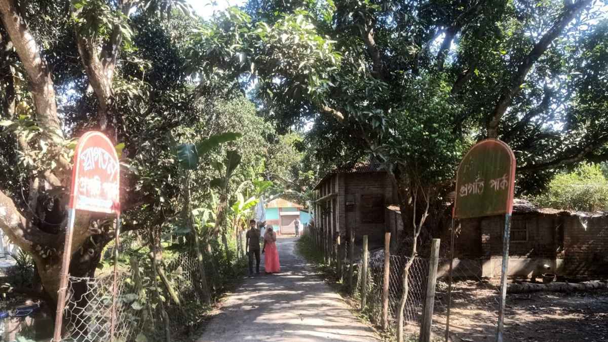 পার্কে ২০ টাকা টিকিটে সিঙ্গেল বেডরুম, চলে অনৈতিক কার্যকলাপ