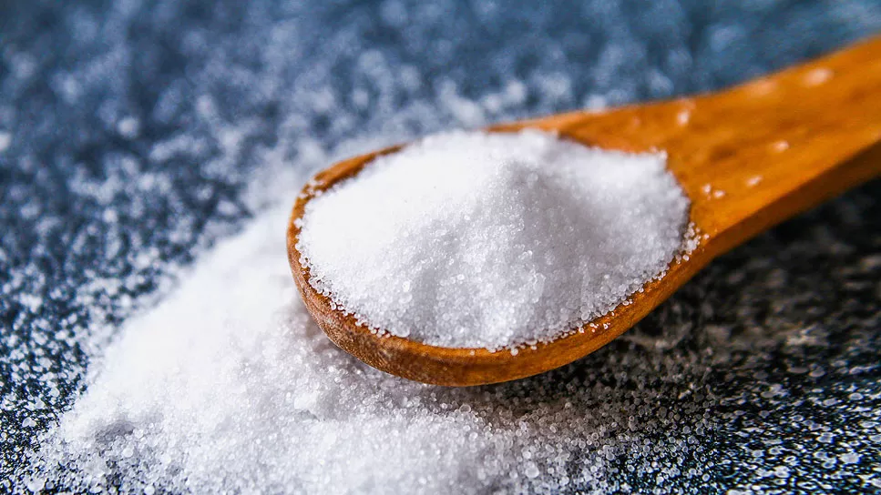 salt3