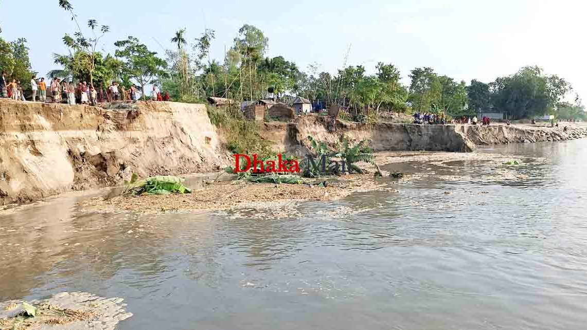 অসময়ে যমুনার তীব্র ভাঙনে বিলীন হচ্ছে ঘরবাড়ি, আতঙ্কে নদীপাড়ের মানুষ