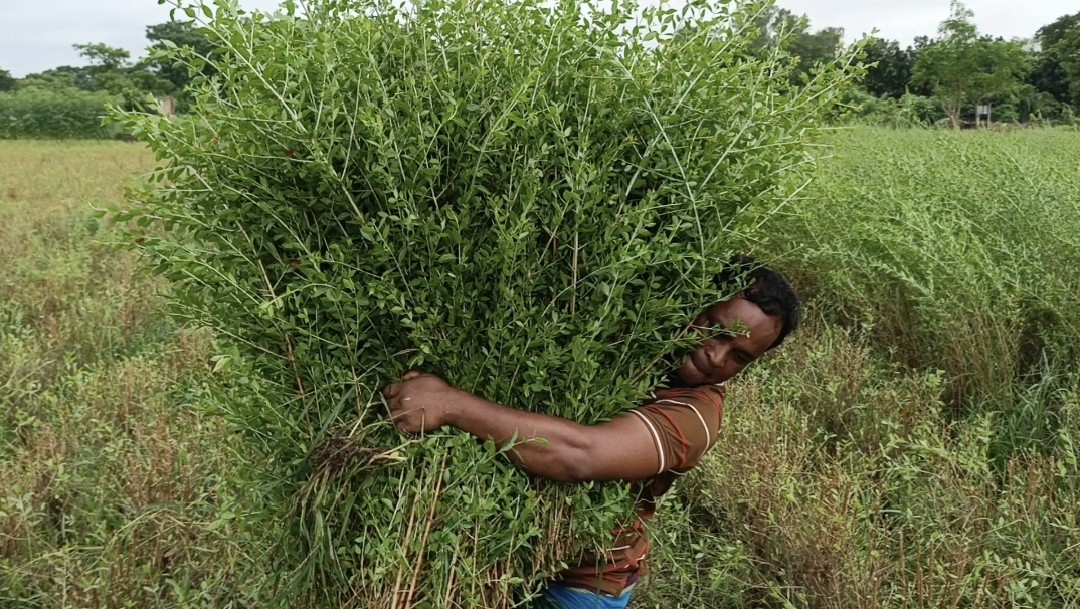 thumbnail_1731738483772