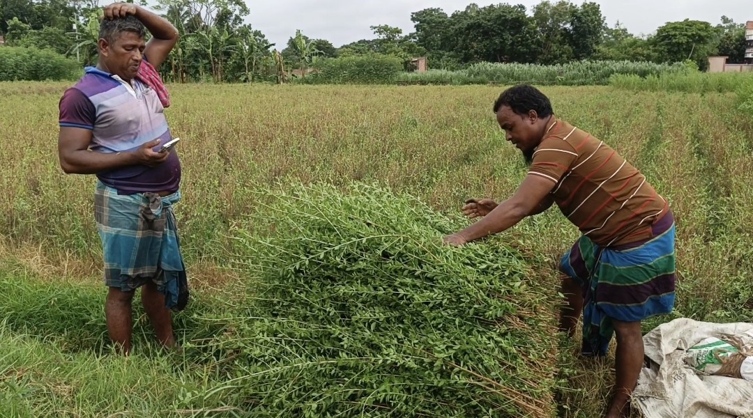 thumbnail_1731738497901