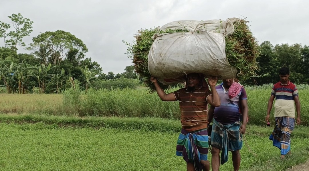 thumbnail_1731738508769