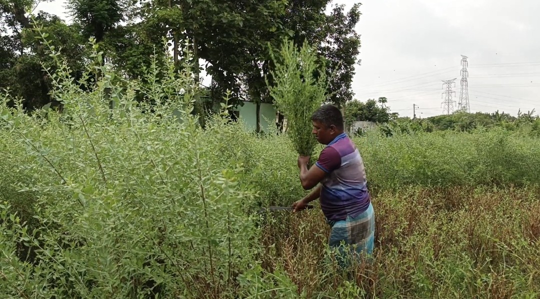 thumbnail_1731738523297