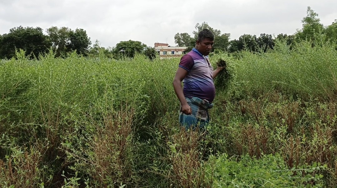 thumbnail_1731738542656