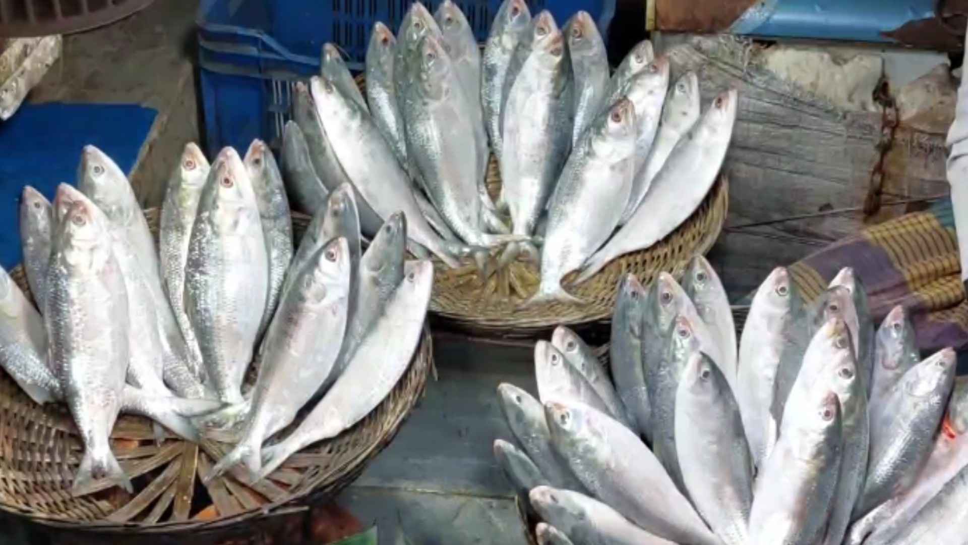 নিষেধাজ্ঞা উঠে যাওয়ায় ঝালকাঠির বাজারে বেড়েছে মাছের সরবরাহ