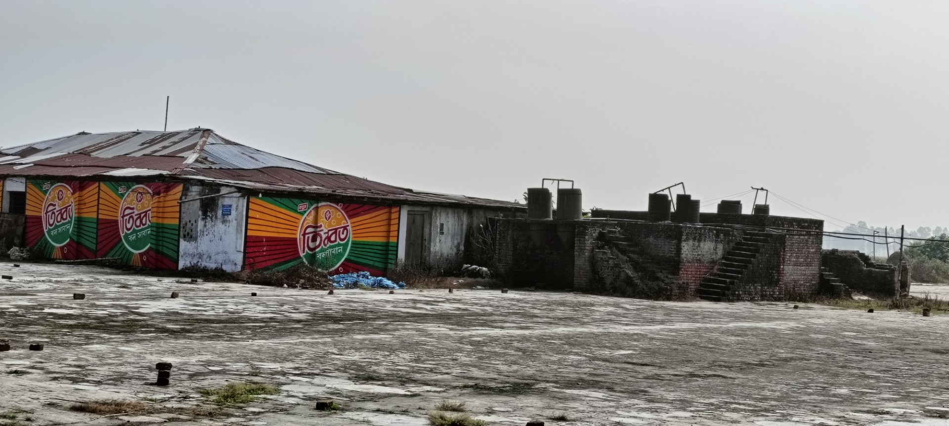 thumbnail_IMG20241105114642