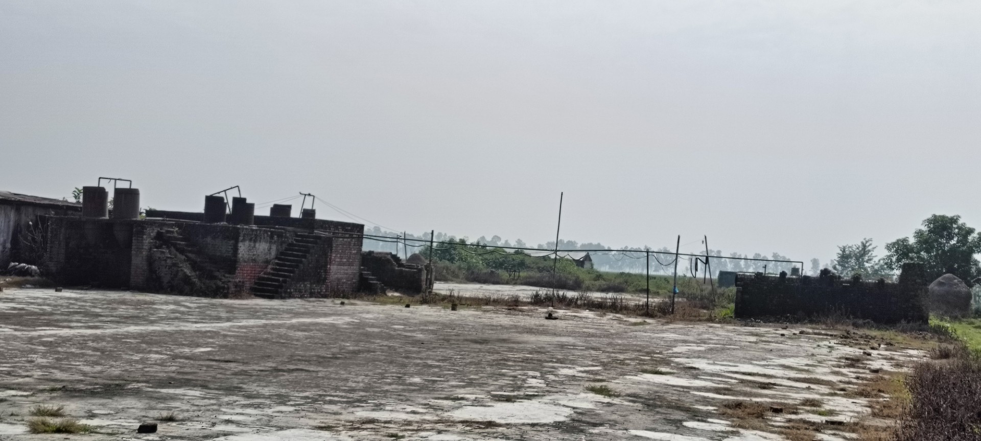 thumbnail_IMG20241105114703