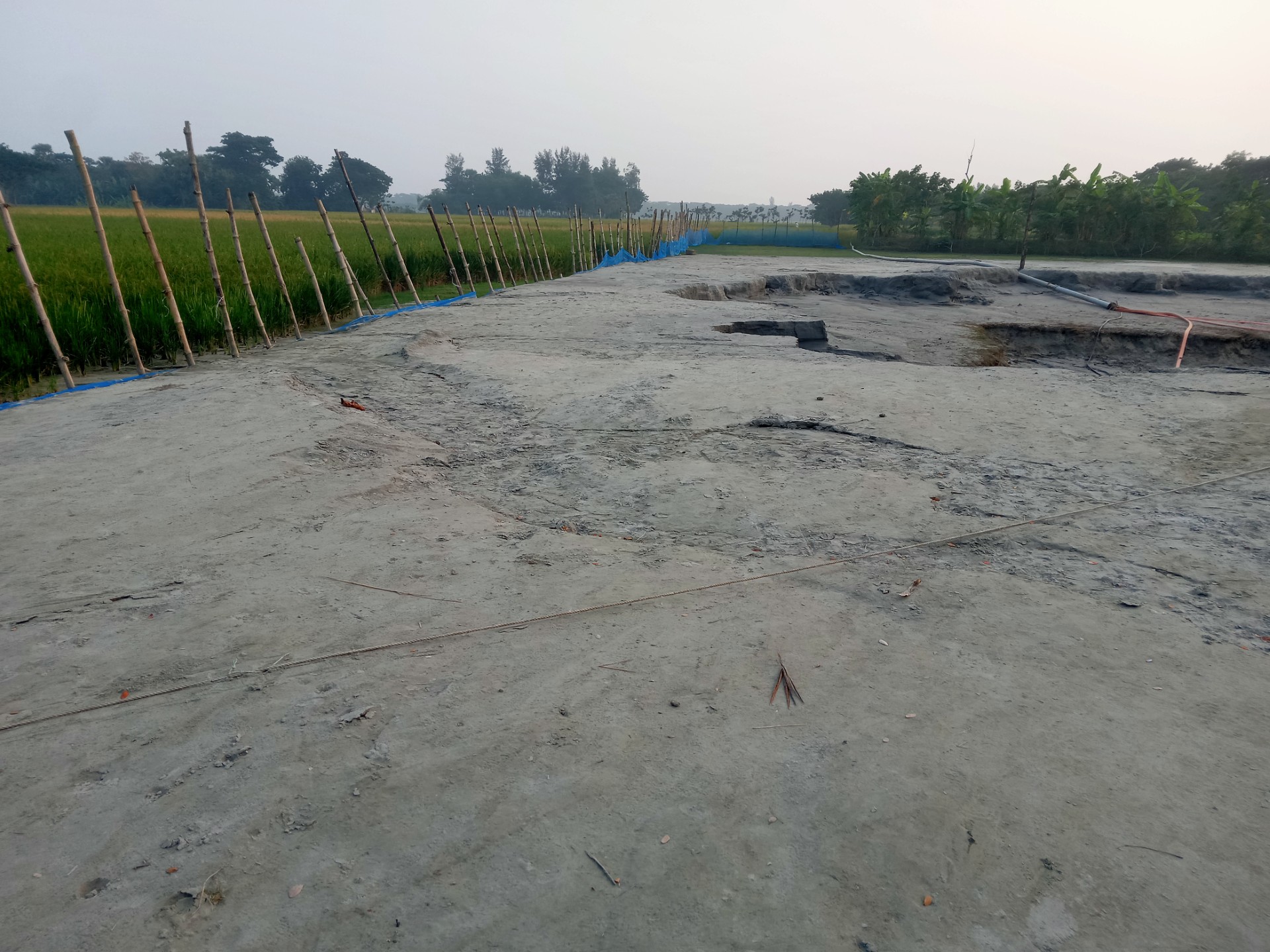 thumbnail_IMG20241116163819