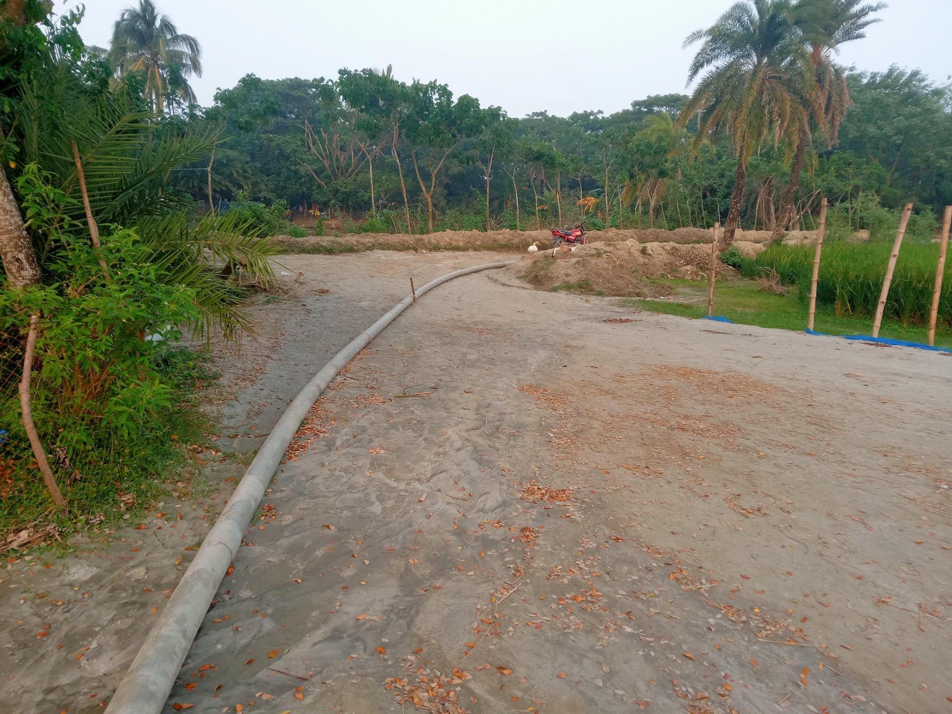 thumbnail_IMG20241116163919