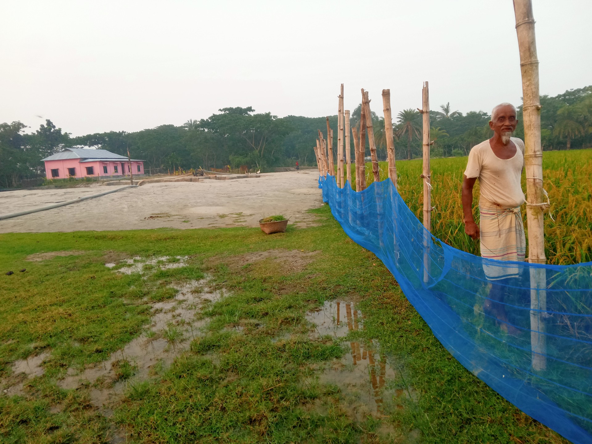 thumbnail_IMG20241116165230