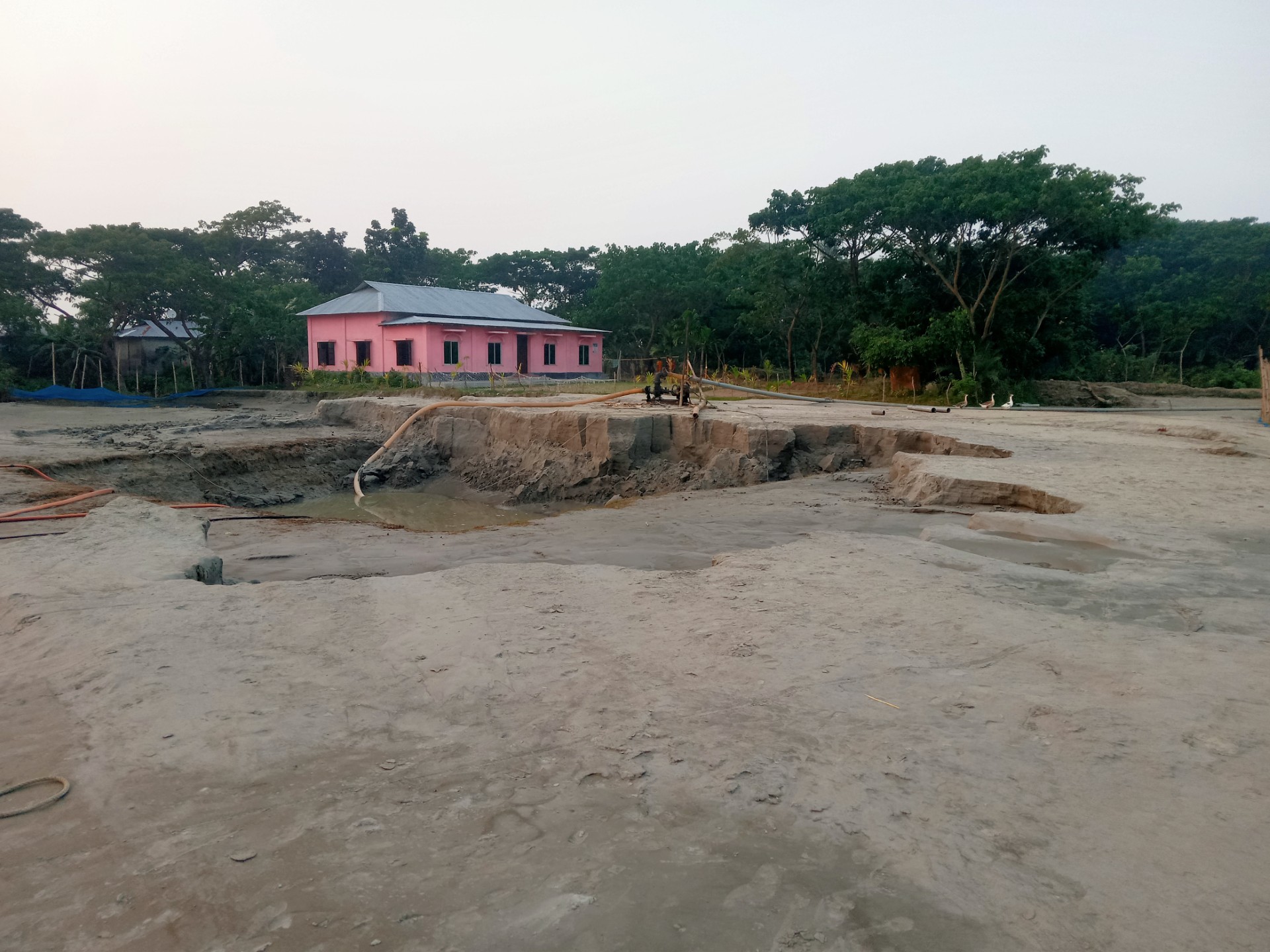 thumbnail_IMG20241116165423