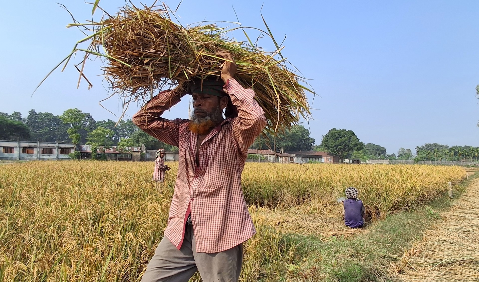 thumbnail_IMG_20241114_134030