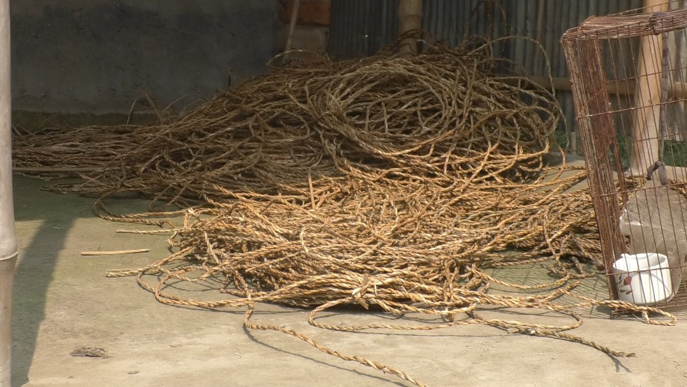 thumbnail_Nilphamari_Pic_(1)