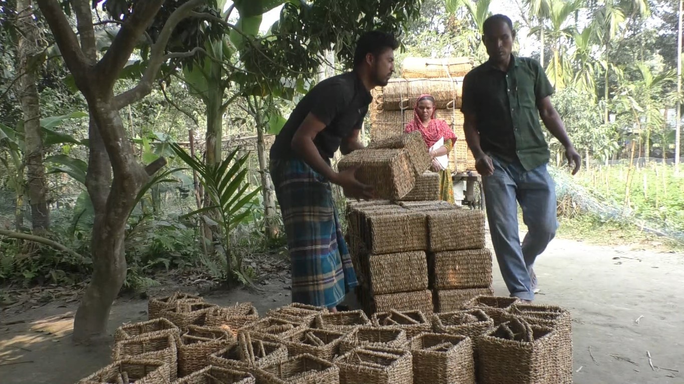 thumbnail_Nilphamari_Pic_(3)