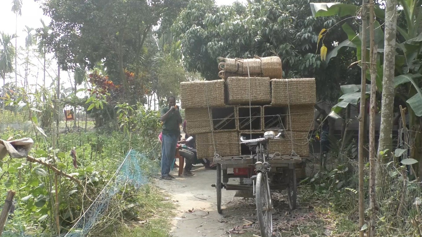 thumbnail_Nilphamari_Pic_(4)