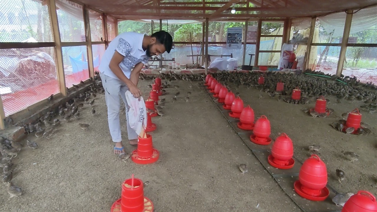 thumbnail_potuakhali-3-20241115145332