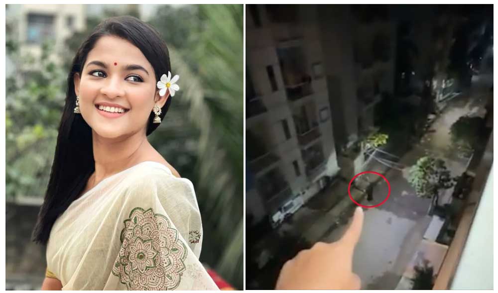 ----------- -----------